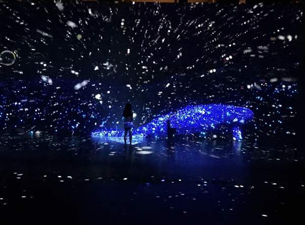 1592299807451171.png 1592299807451171.png