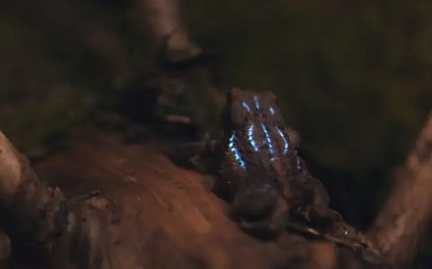 1597997093202702.png 1597997093202702.png